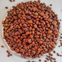 Brown Cowpeas, Lobia, Loba, Black Eyed Beans, Chawli (Pulses)