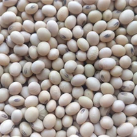 Soybean White seeds (seeds)