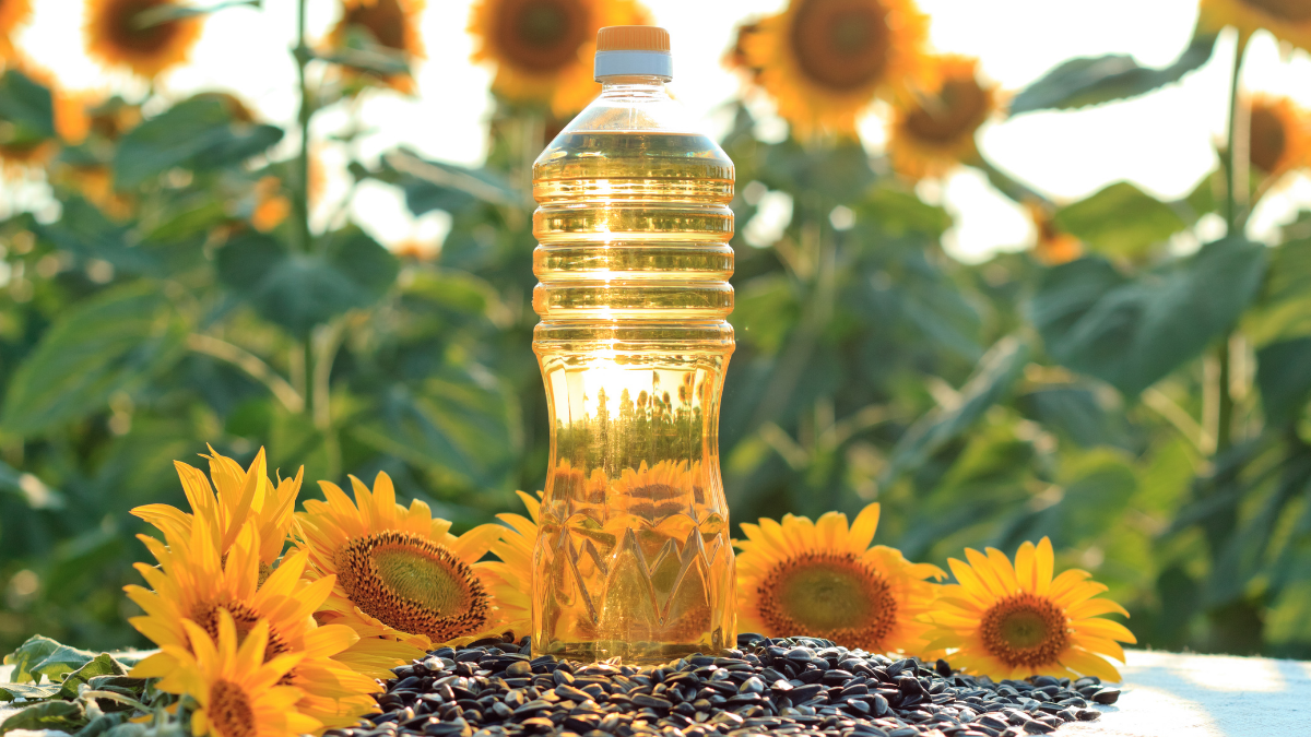 sunflower-oil-properties-and-manufacture-1